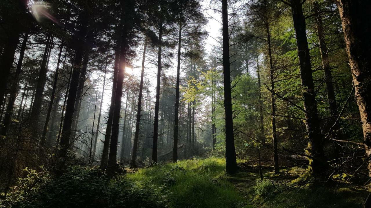 فيلا Tara Hill Estate غوري المظهر الخارجي الصورة