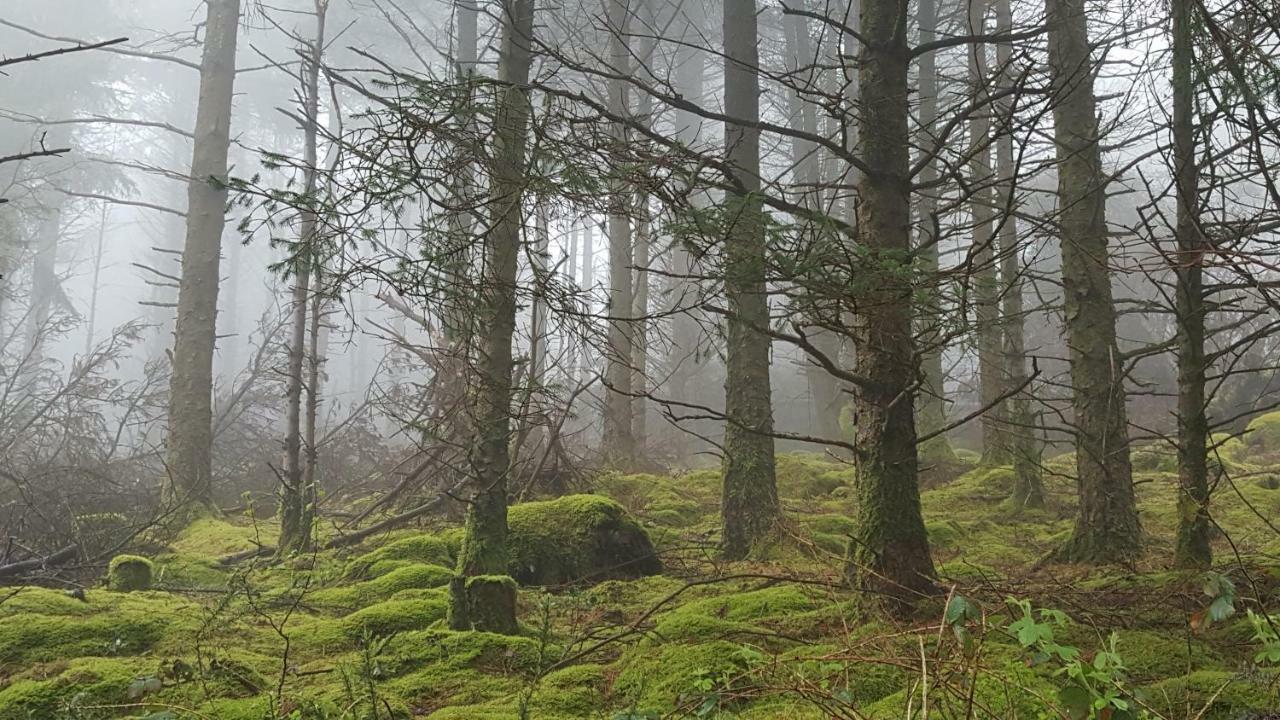 فيلا Tara Hill Estate غوري المظهر الخارجي الصورة